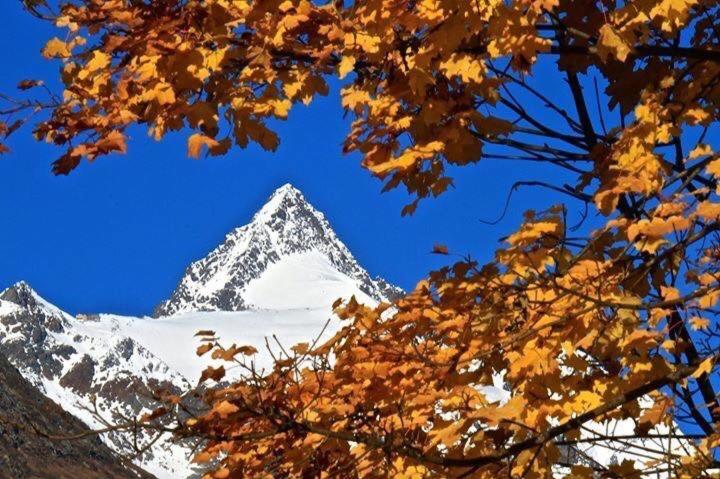 Pension Lagler Heiligenblut am Großglockner Exterior foto